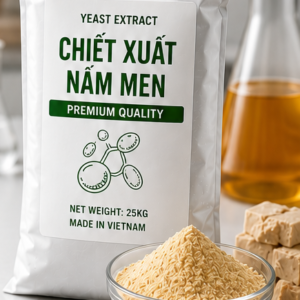 CHIẾT XUẤT NẤM MEN