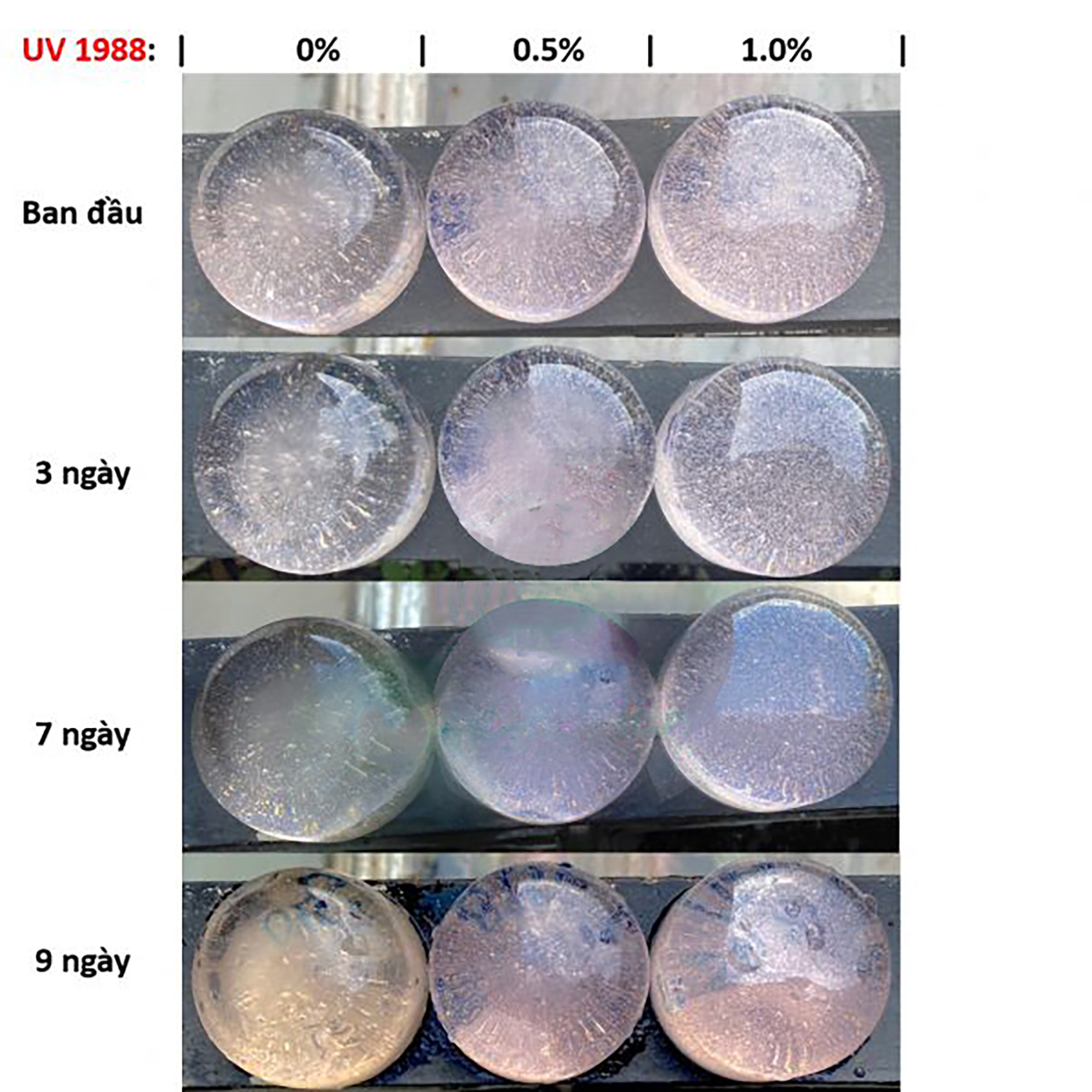 EUSORB UV 1988 (PHỤ GIA CHỐNG UV)
